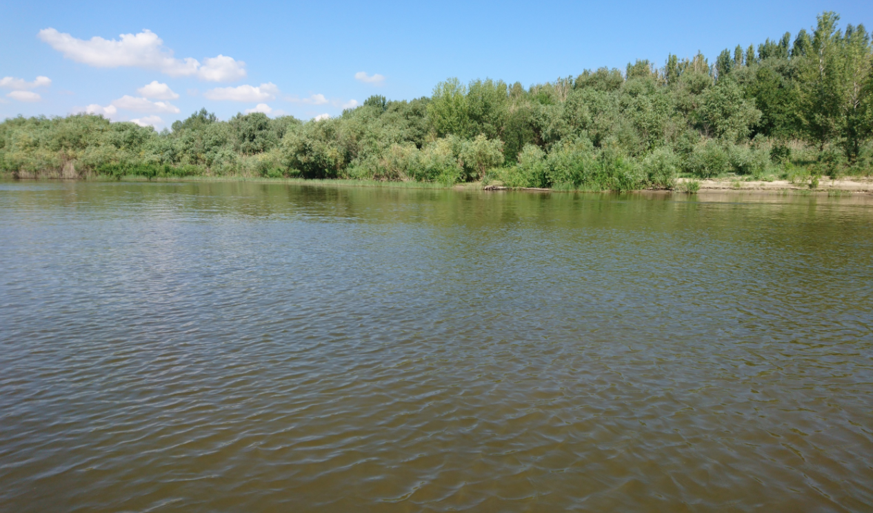 Река Бузан.&nbsp;Фото: &copy; ВКонтакте/Астрахань