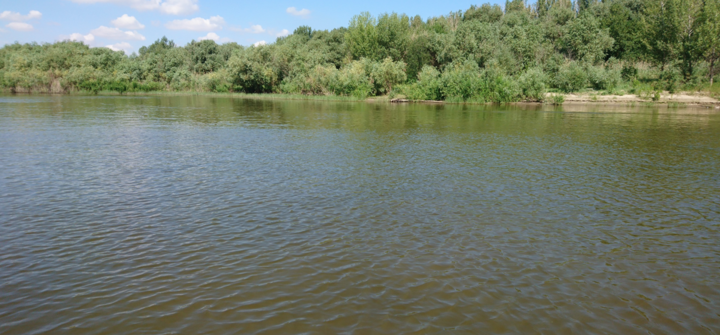 Река Бузан.&nbsp;Фото: &copy; ВКонтакте/Астрахань
