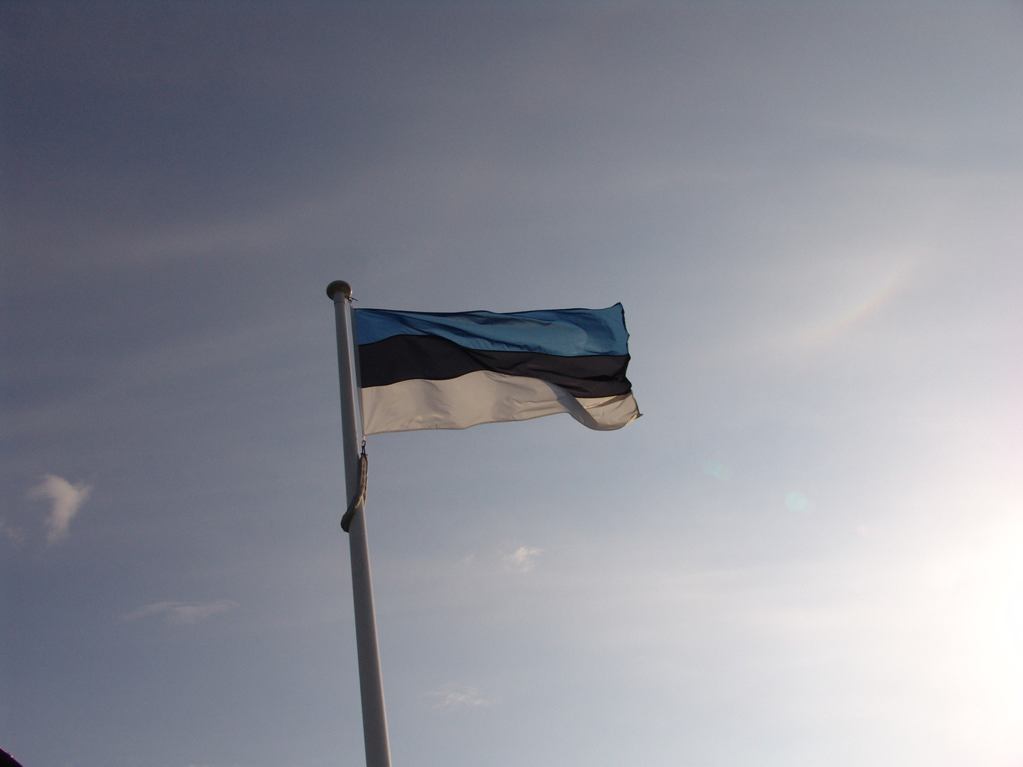 Флаг Эстонии. Фото: &copy; Flickr/Hans