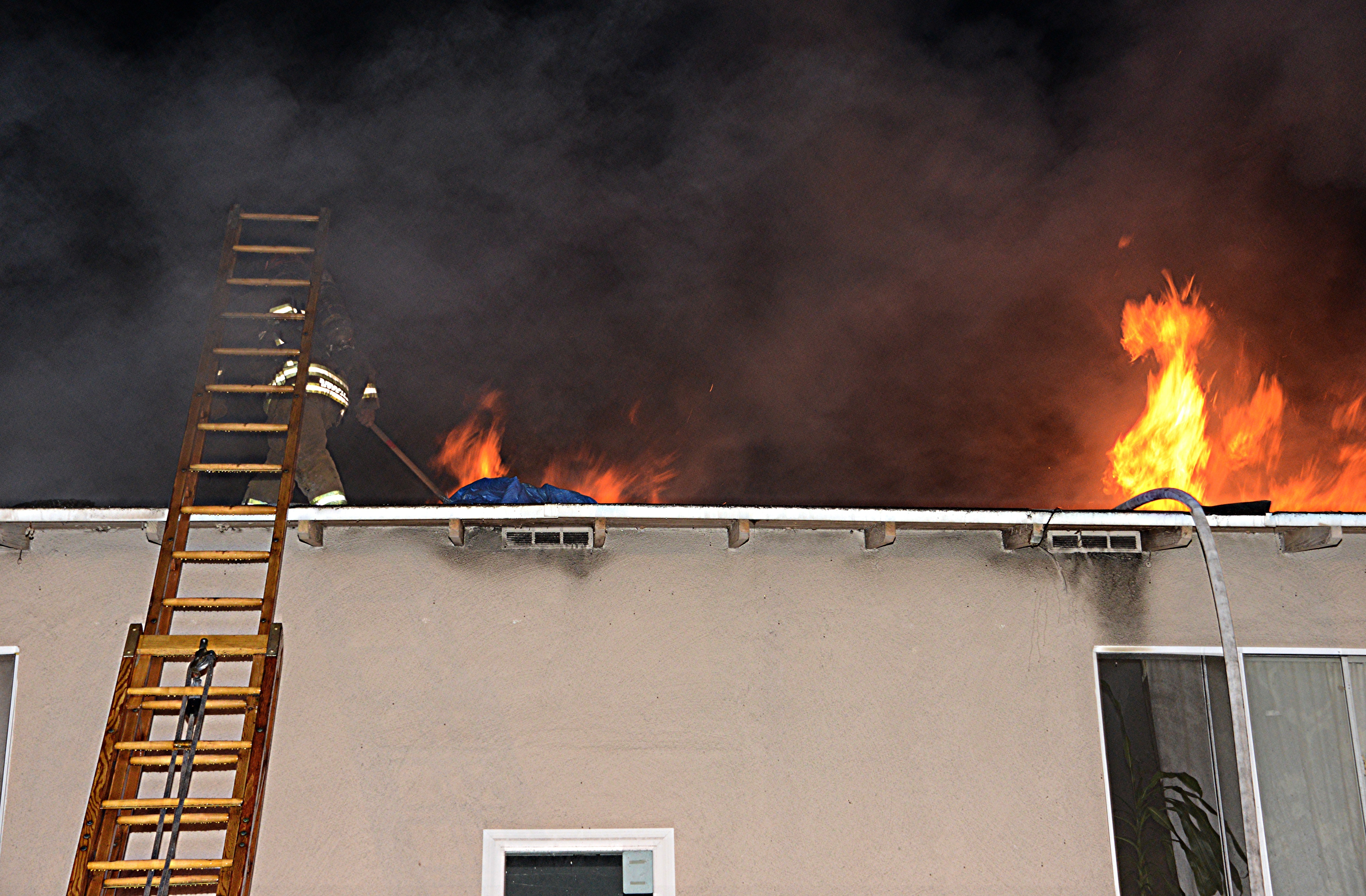 Фото: &copy; Flickr/Los Angeles Fire Department