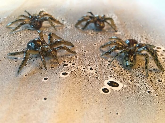 Фото: instagram.com/guymeetscake