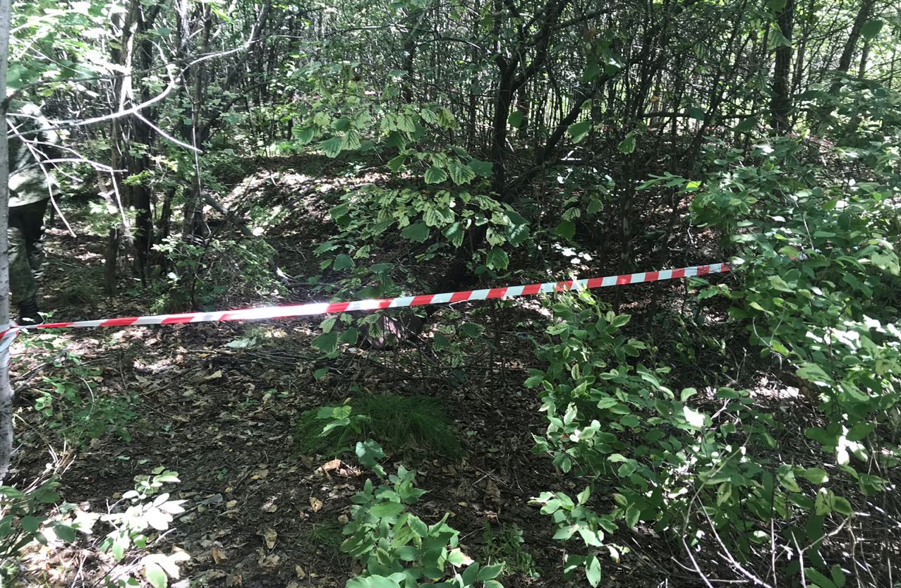 Место обнаружения тела девочки. Фото: пресс-служба СУ СКР по Хабаровскому краю