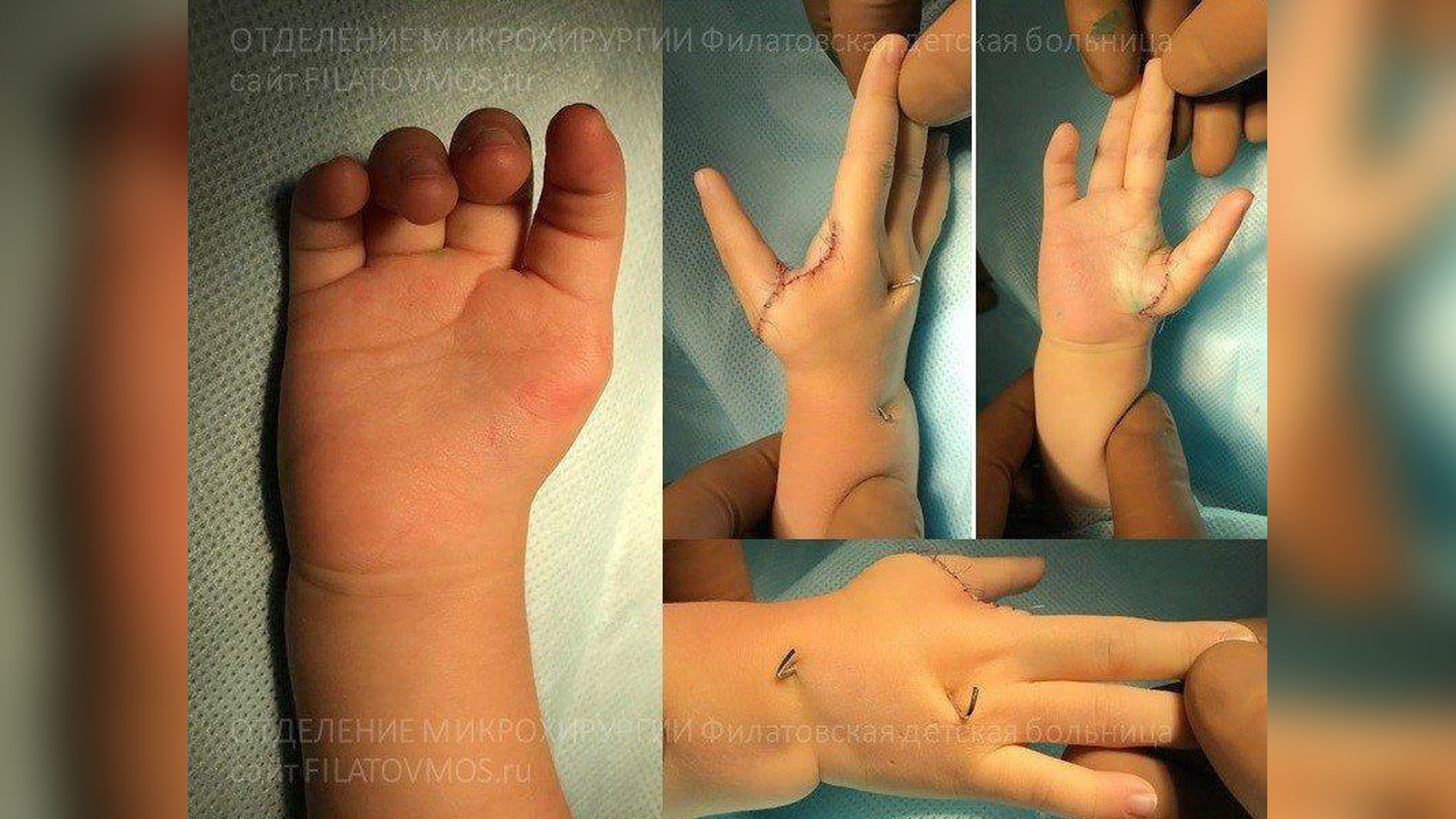 Фото: © filatovmos.ru