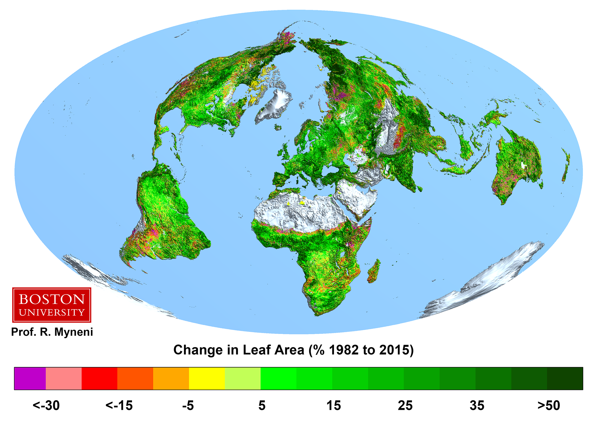 Увеличение площади листьев на планете, вызванное в основном ростом концентрации СО2 в атмосфере. Фото © R. Myneni/bu.edu