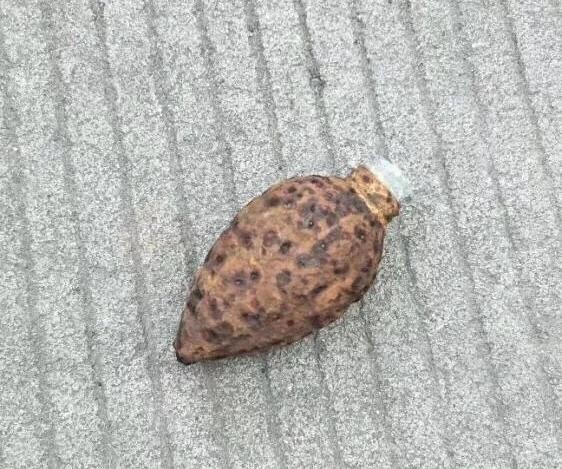 Фото: соцсети