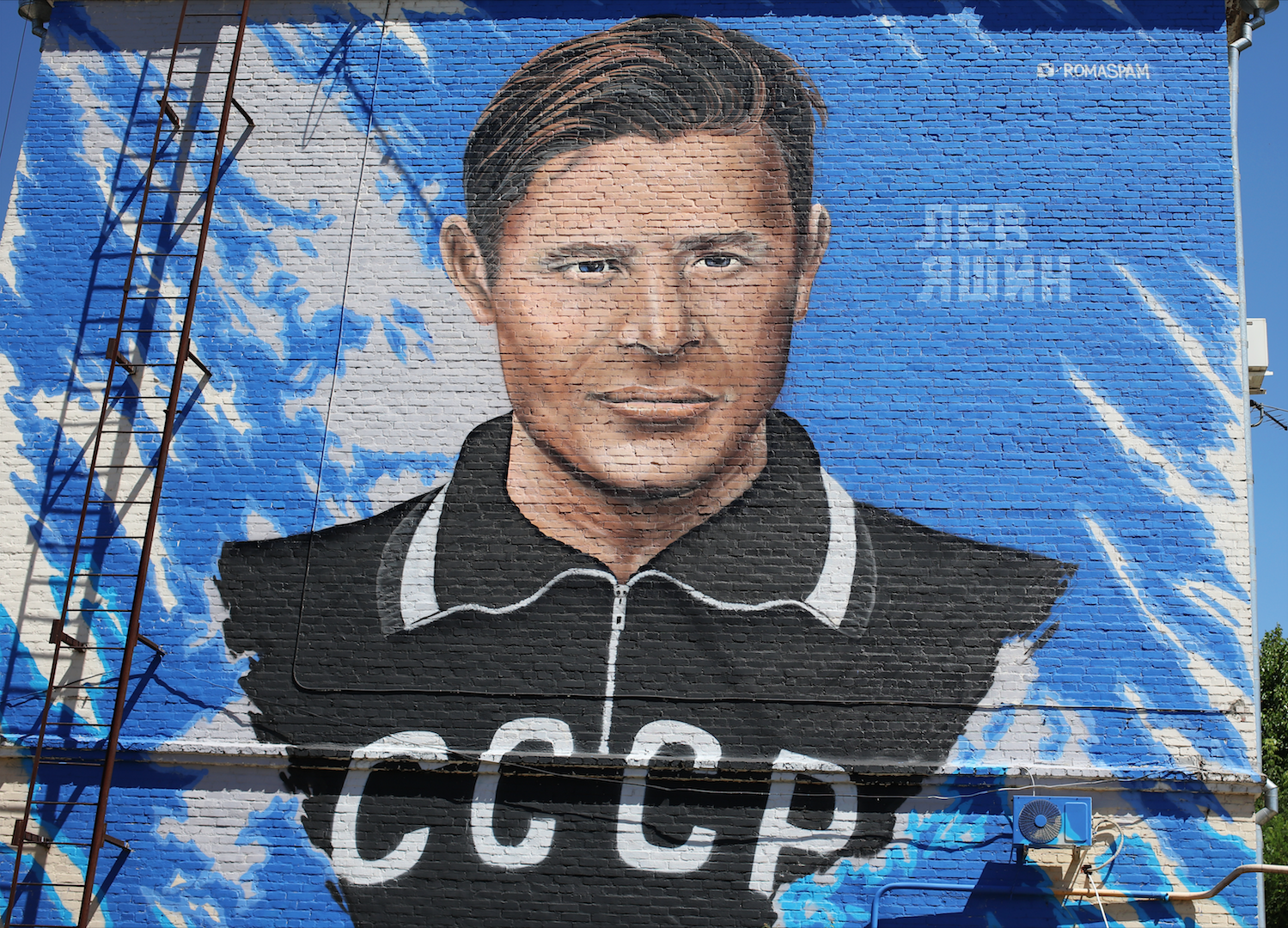 Граффити с изображением Льва Яшина в Краснодаре. Фото: ©РИА Новости / Виталий Тимкив
