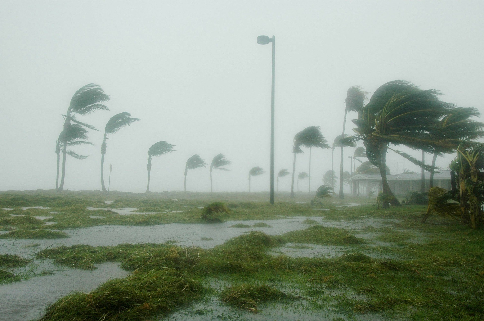 <p><span>Фото: &copy; Pixabay /&nbsp;</span><a href="https://pixabay.com/en/key-west-florida-hurricane-dennis-86025/">12019</a></p>