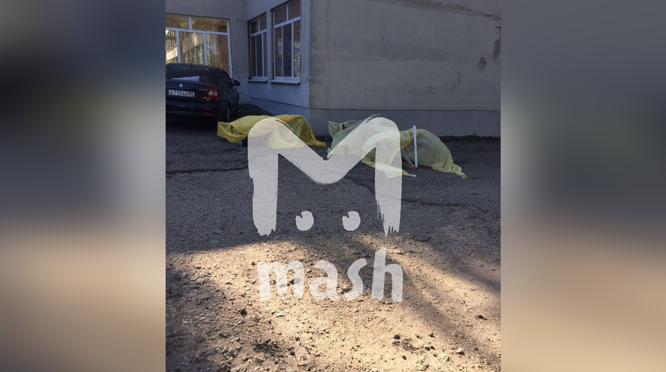 Фото: Mash