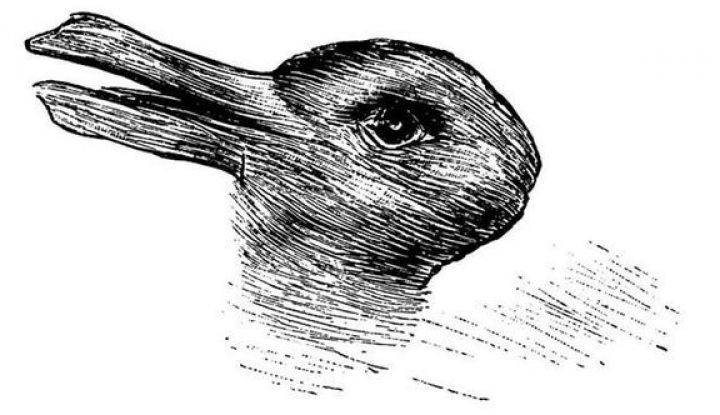 Иллюзия кролика-утки. Фото: соцсети