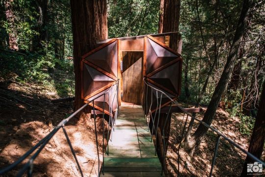 Фото © Instagram/o2_treehouse