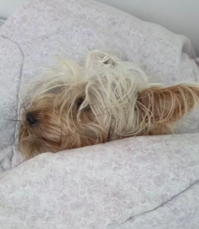 Фото: соцсети