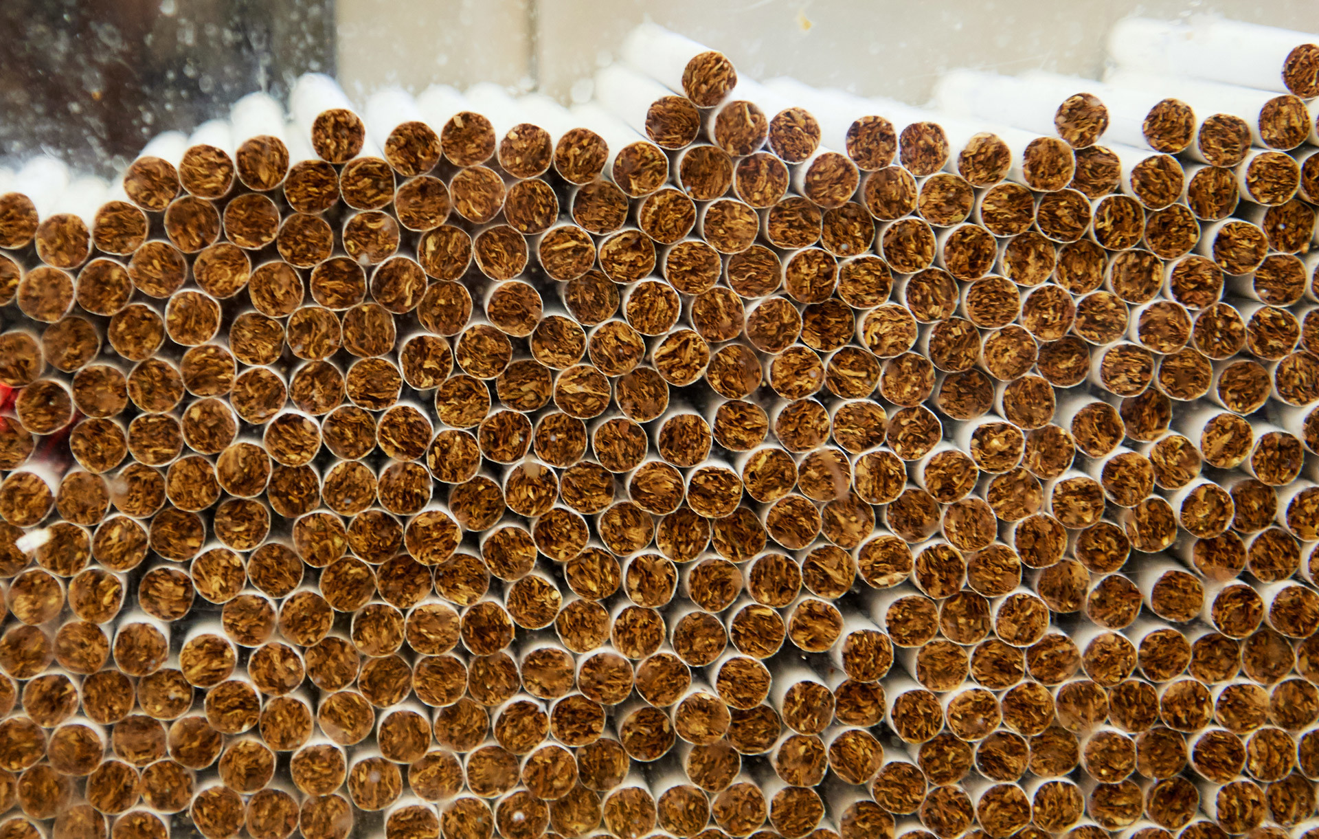 Производство сигарет на фабрике АО "Филип Моррис Ижора" в Ленинградской области. Фото: © РИА Новости/Алексей Даничев