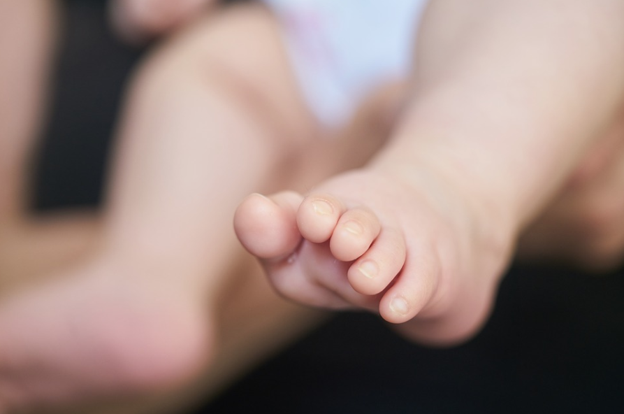 Фото: &copy; Pixabay