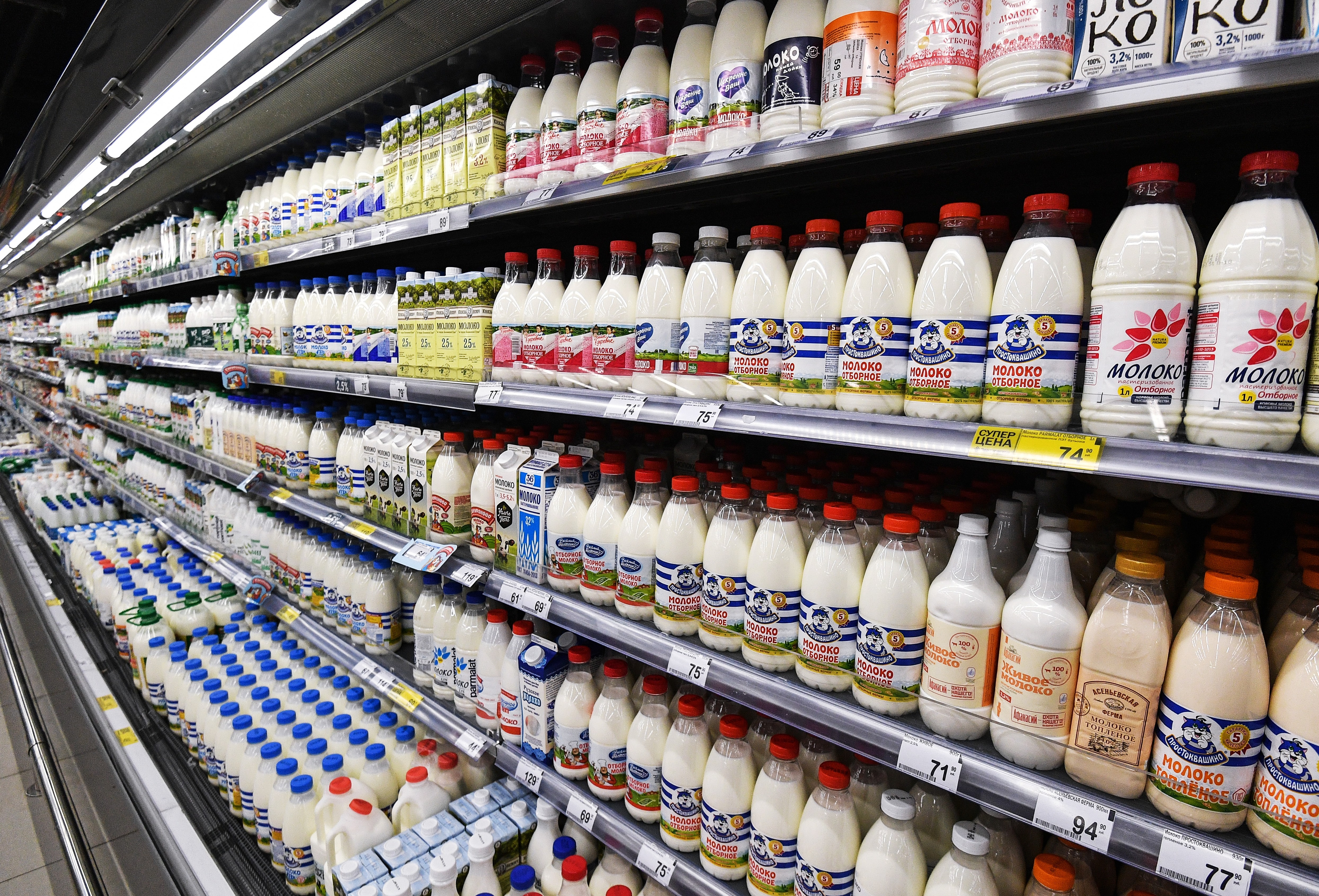 Молочная продукция запрет. Молоко в магазине. Прилавки с молочной продукцией. Полки с молочной продукцией. Молочные продукты в магазине.