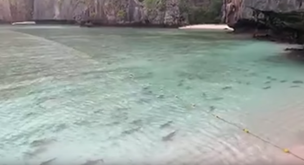Кадры из фильма&nbsp; Sharks return to Thai bay popularised by 'The Beach'&nbsp; youtube.com
