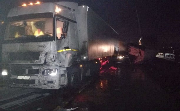 Фото: © Пресс-служба УМВД по Тульской области