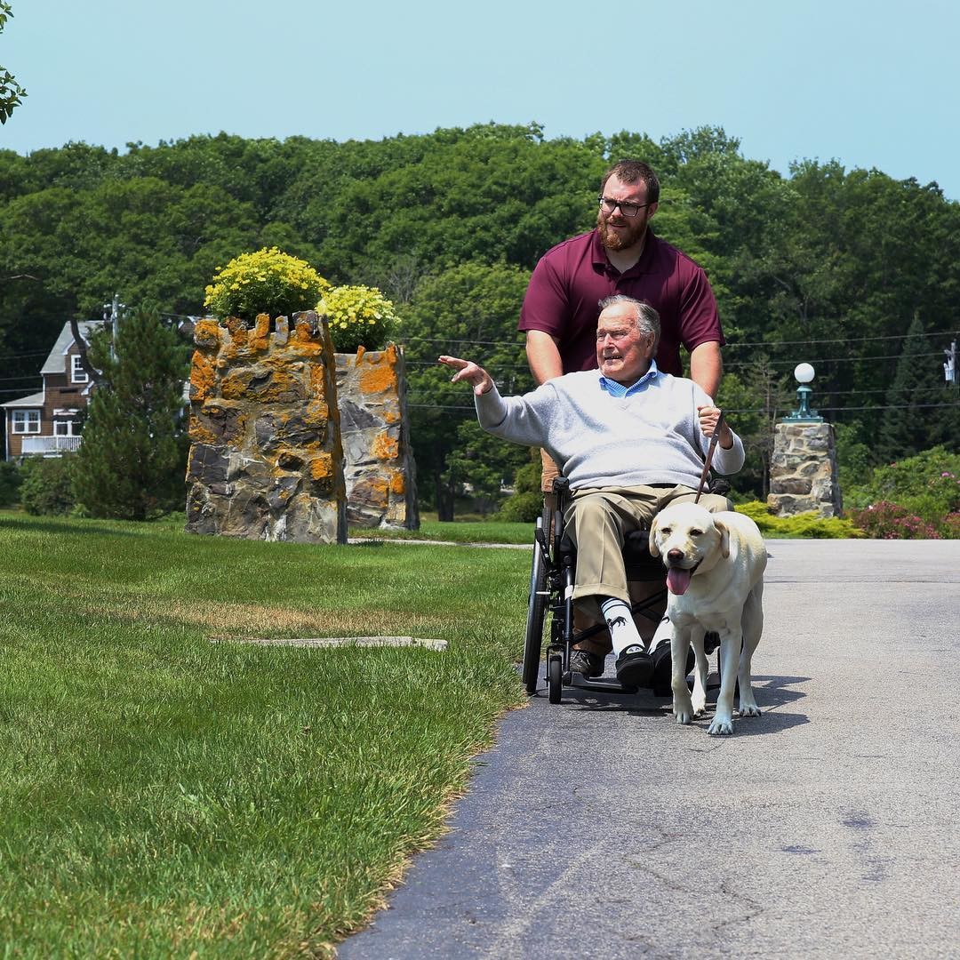 Буш-старший на прогулке с Салли. Фото: instagram/sullyhwbush