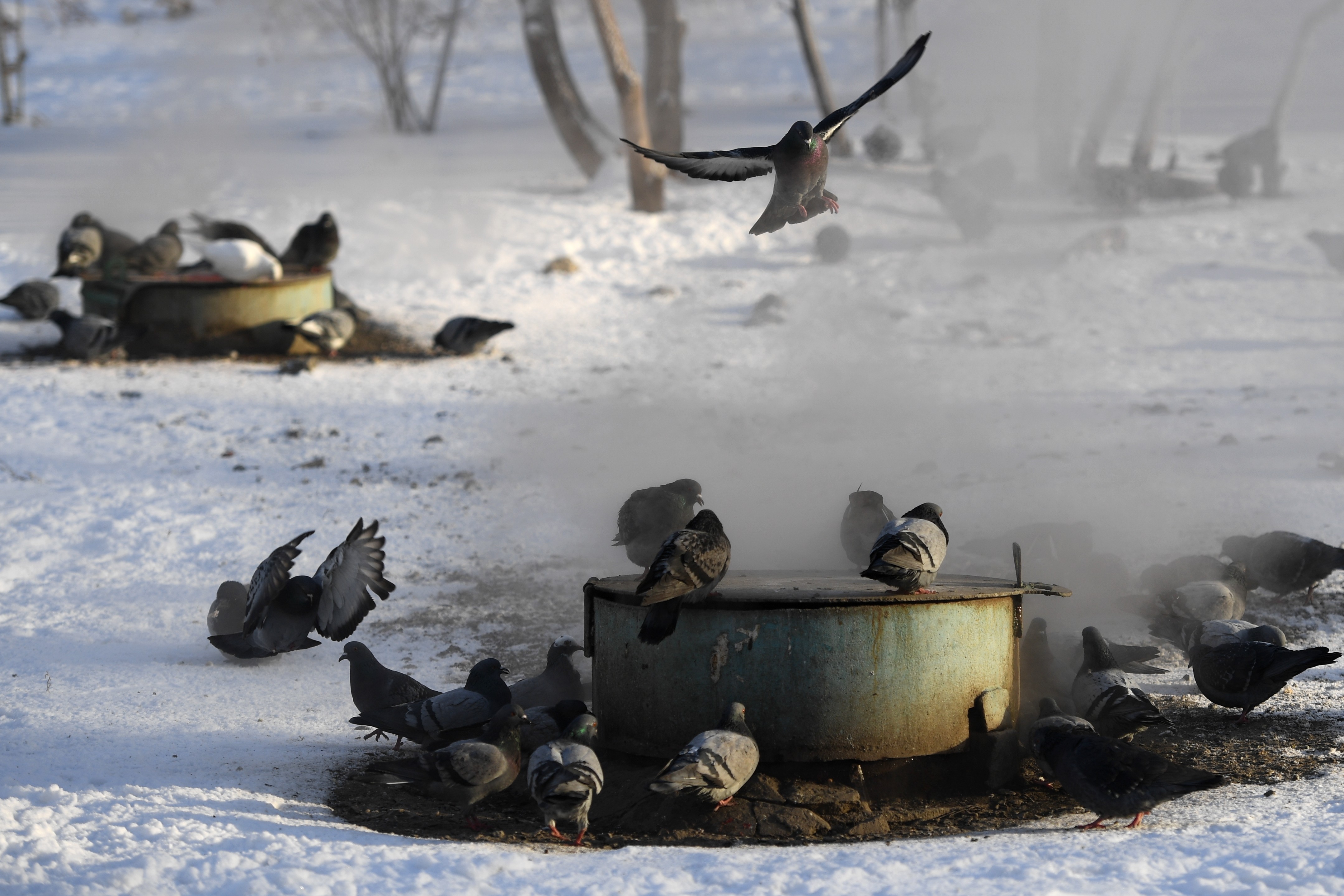 Два жителя Кузбасса насмерть замёрзли из-за 40-градусных морозов