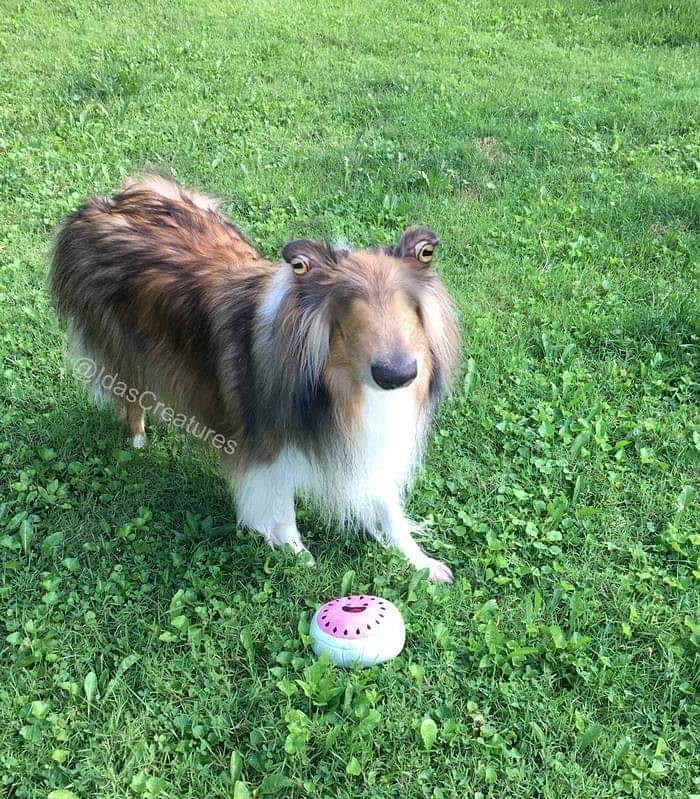 Фото: instagram/idascreatures