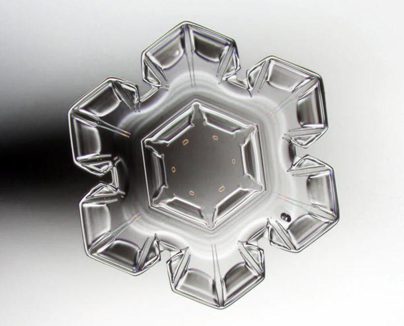 Фото: © nikonsmallworld.com