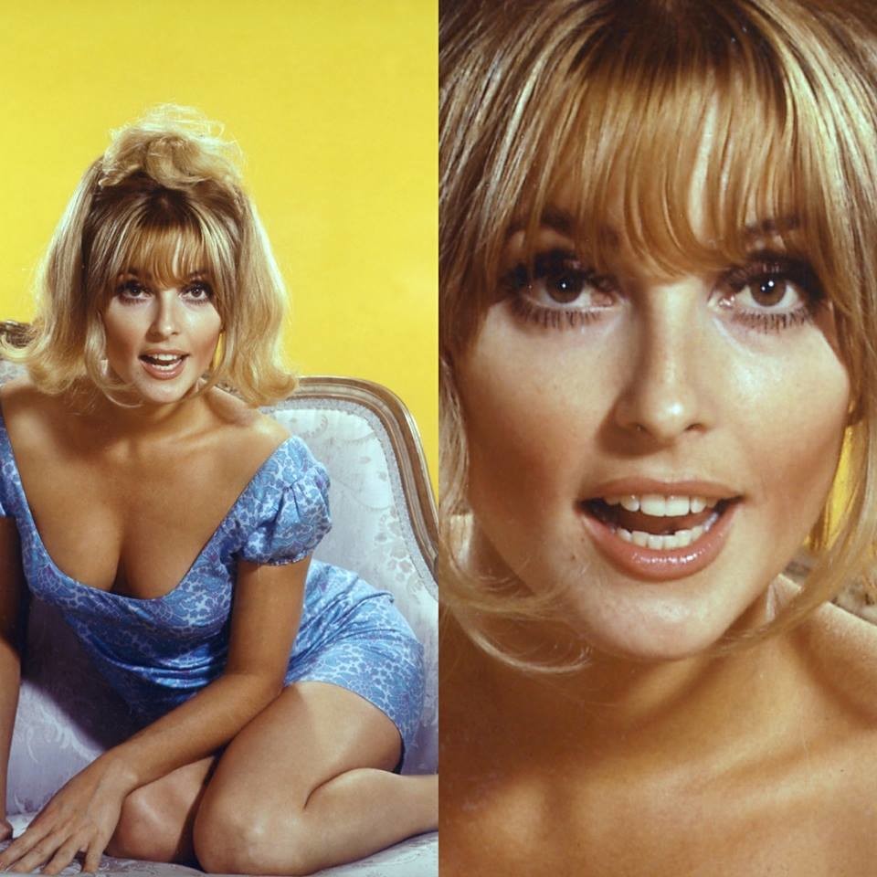 Фото: © Facebook/OfficialSharonTate