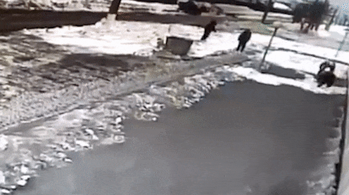 На Сахалине наказали работников порта, которые прятали угольную пыль под снег