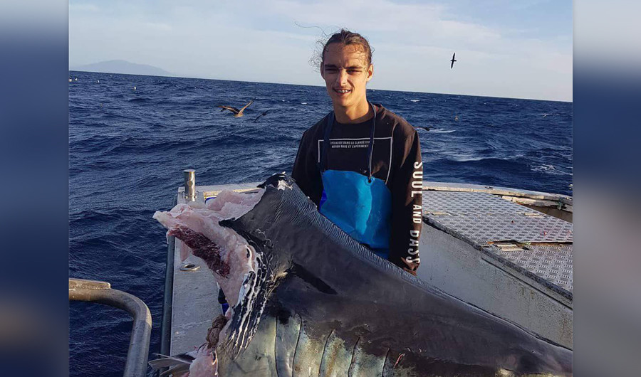Рыбак нашёл голову акулы весом 100 кг, и все боятся монстра, напавшего на неё