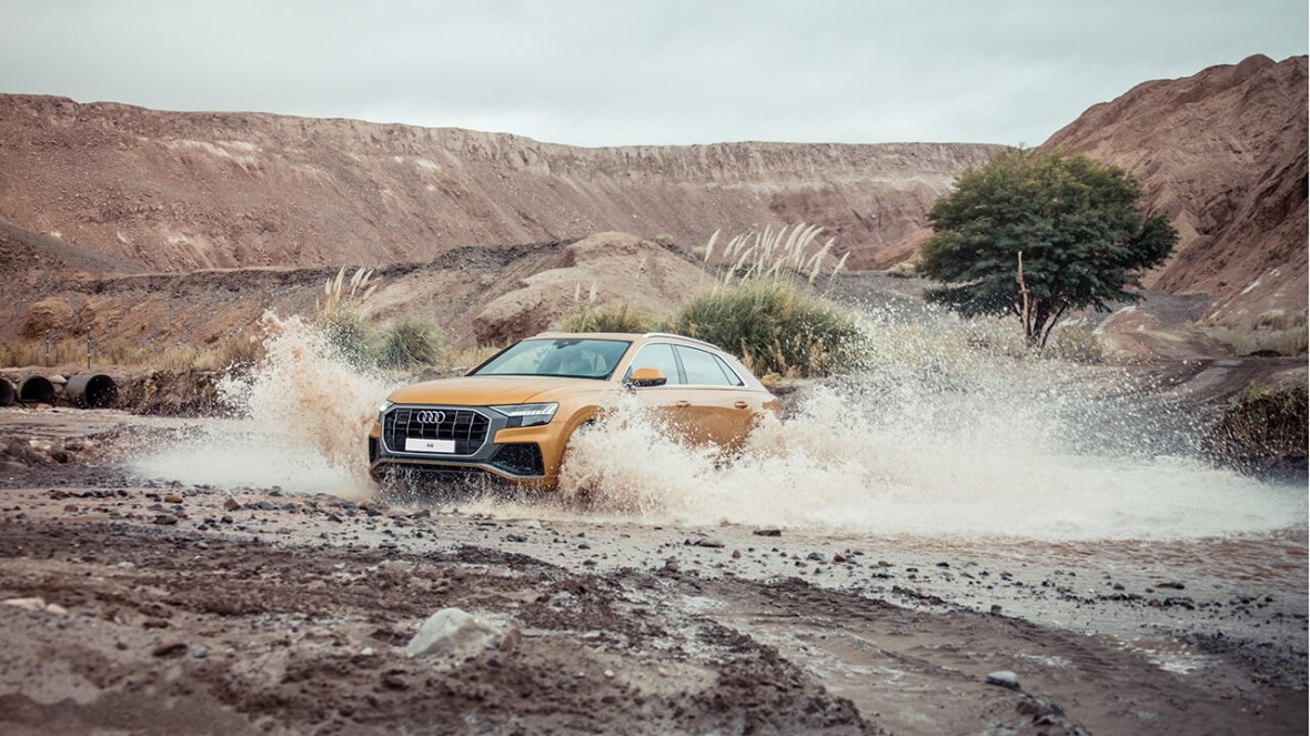Audi Q8. Фото: © Audi.ru

