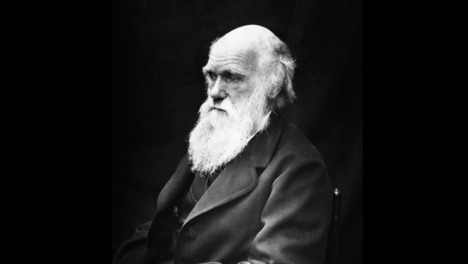 Чарльз Дарвин. Фото: Wikimesdia/Общественное достояние
