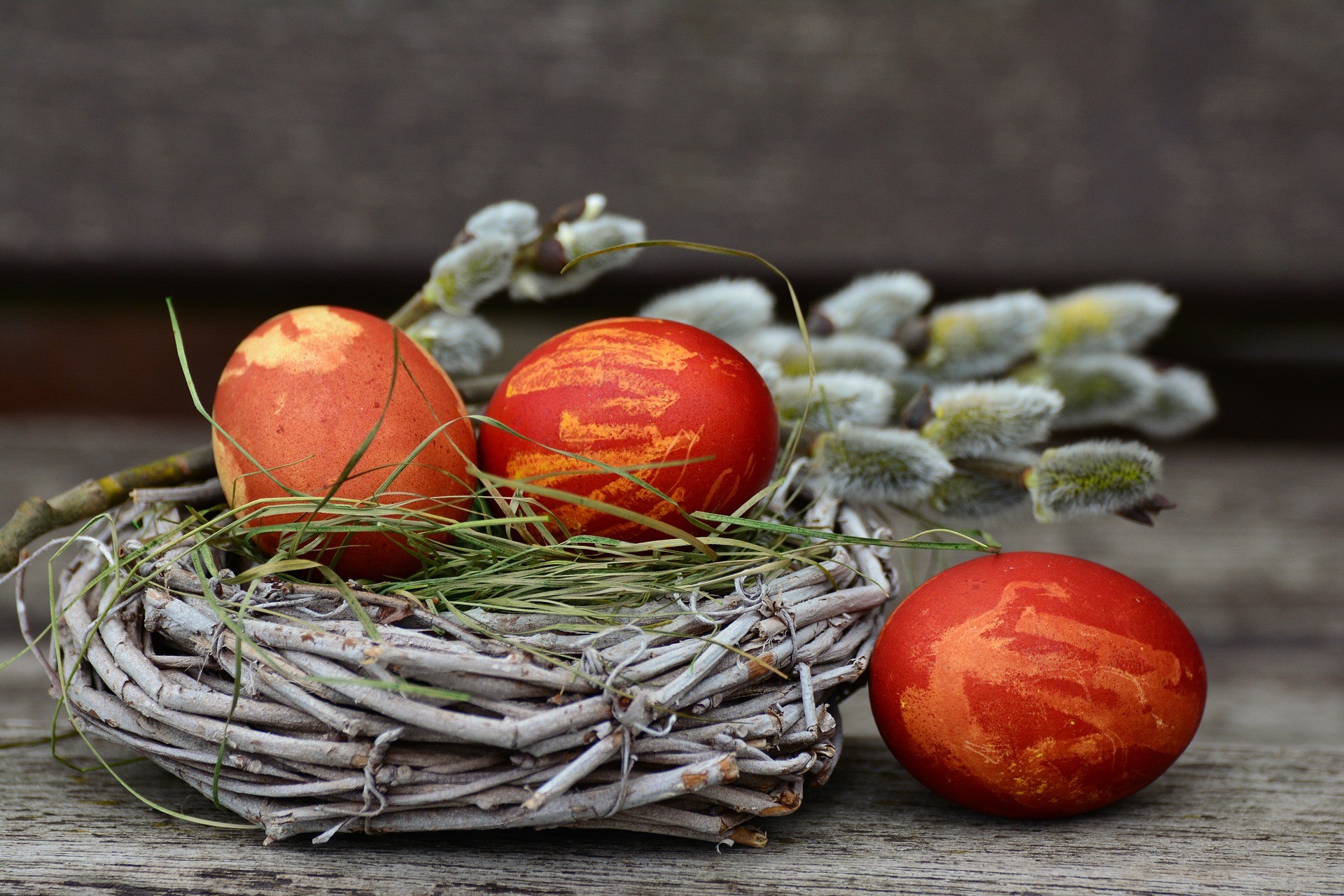 <p>Куриные яица. Обложка © Pixabay</p>