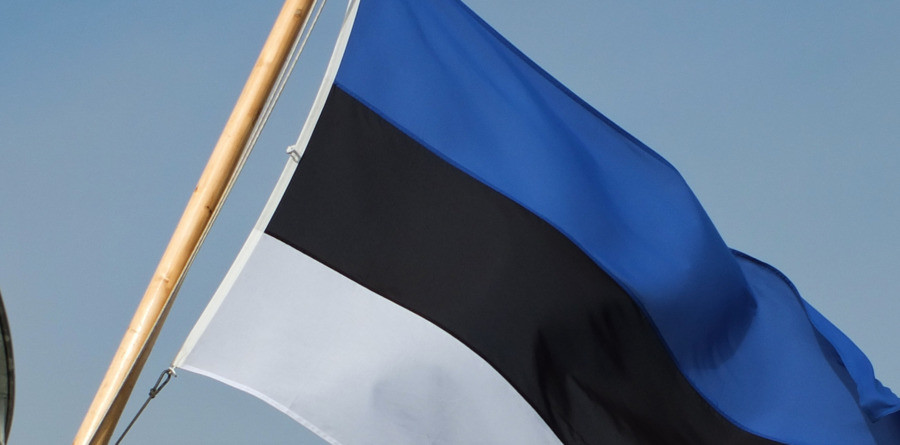 Флаг Эстонии. Фото: © Flickr / Heikki Siltala

