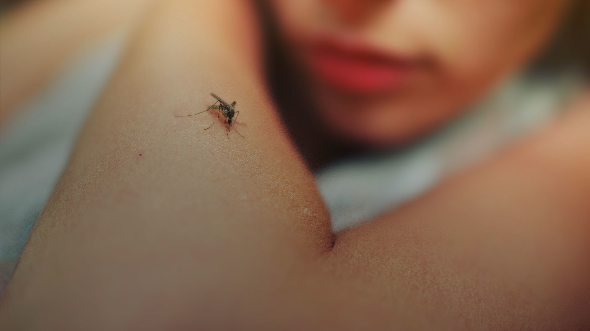 Страшнее, чем рак. Почему учёные не могут победить малярию