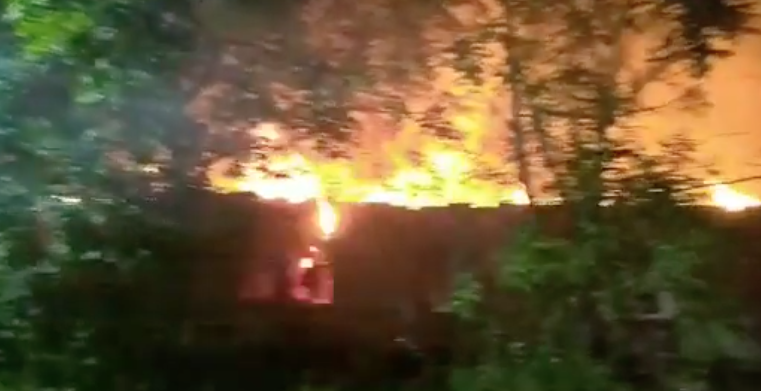 Кадр видео "В Одессе горит психбольница" / YouTube
