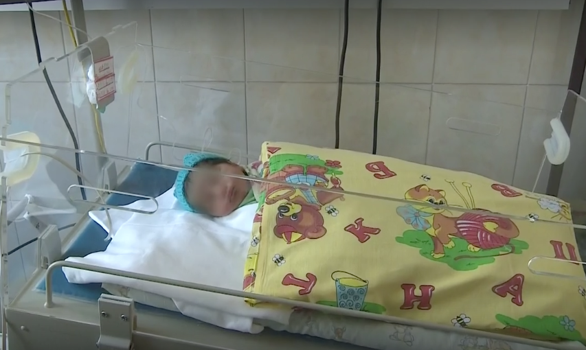 Скриншот видео В Питере пёс спас новорождённую малышку / Vesti.ru
