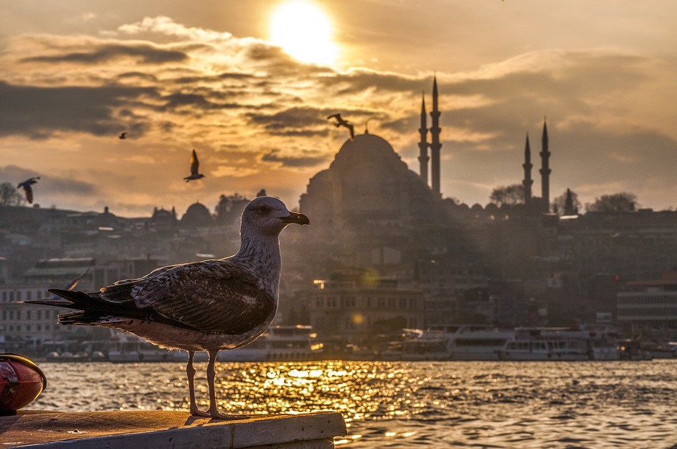 Стамбул. Фото © Pixabay
