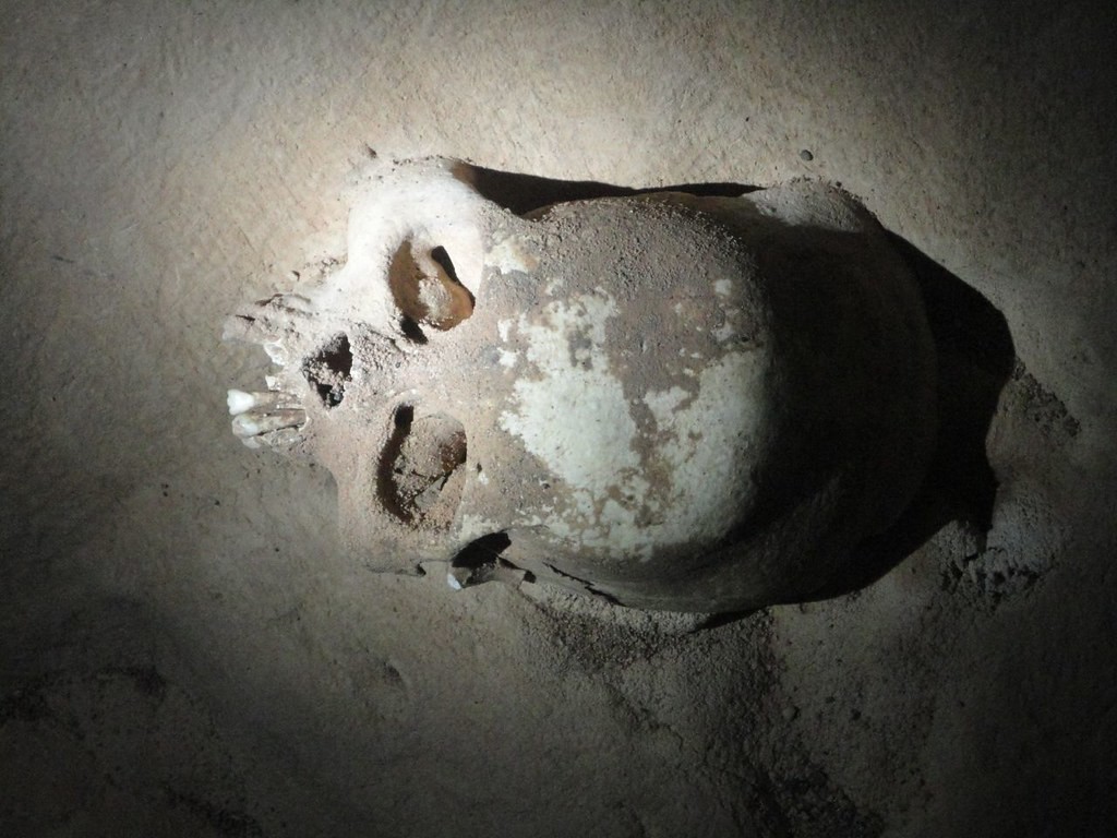 Пастух случайно откопал череп древнего человека возрастом 3,8 млн лет
