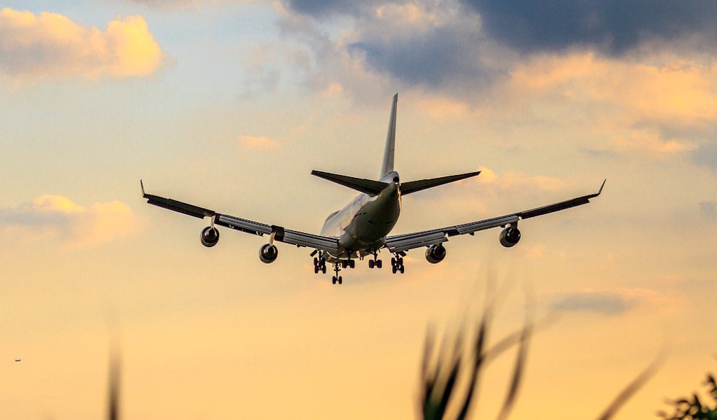 Фото © Pixabay&nbsp;
