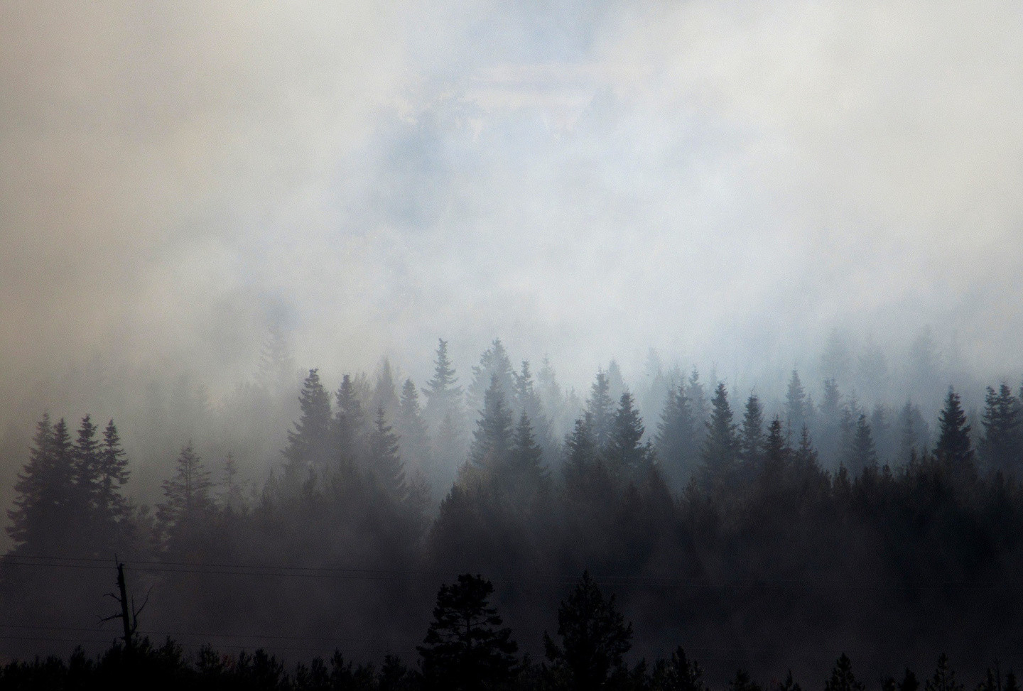 дым в лесу картинки