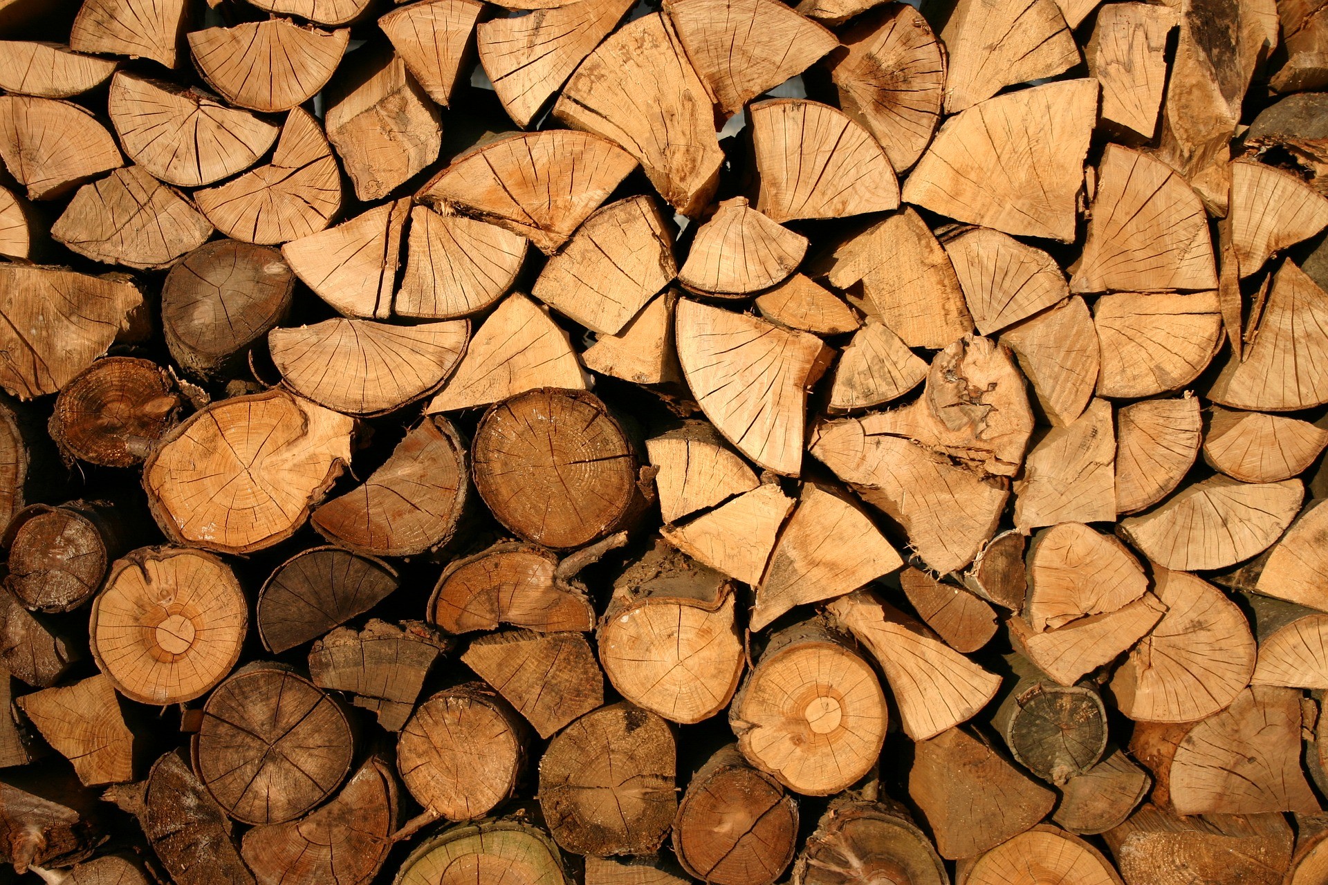 В России за пять лет дрова подорожали более чем вполовину