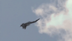Российский истребитель Су-35 назвали "идеальным убийцей невидимок"