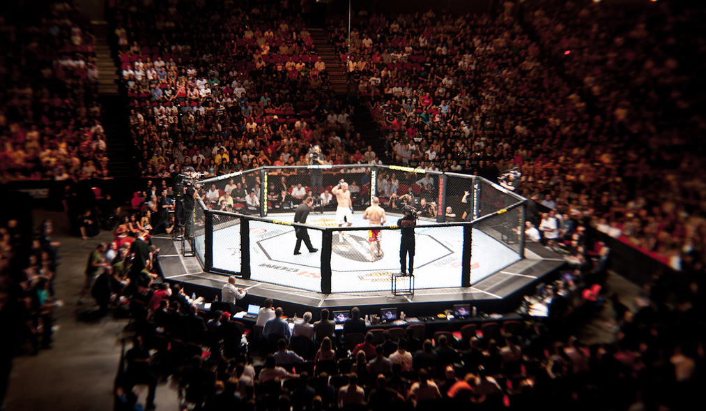 Россия станет местом проведения двух турниров UFC в 2020 году