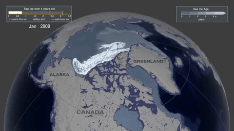 Арктика безо льда. Как сейчас выглядит "последняя ледяная зона" — видео