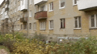 В Калининграде пенсионерка "починила" дорогу коврами — видео