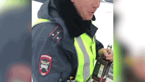 Под Новосибирском полицейский залил виски в омыватель
