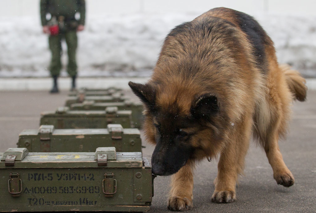 На юго-востоке Москвы нашли семь боеприпасов времён войны