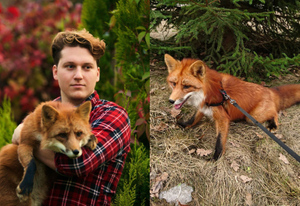 Парень из Москвы спас лисёнка от смерти на меховой фабрике, и сейчас их дружбе можно позавидовать