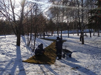 Коммунальщики удивили россиян решением уложить газон на снег
