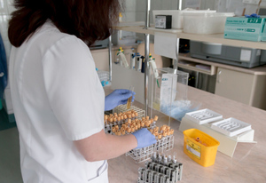 Роспотребнадзор назвал число проведённых тестов на коронавирус в России
