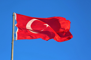 США заявили о наличии "обеспокоенности и разногласий" с Турцией по ряду регионов