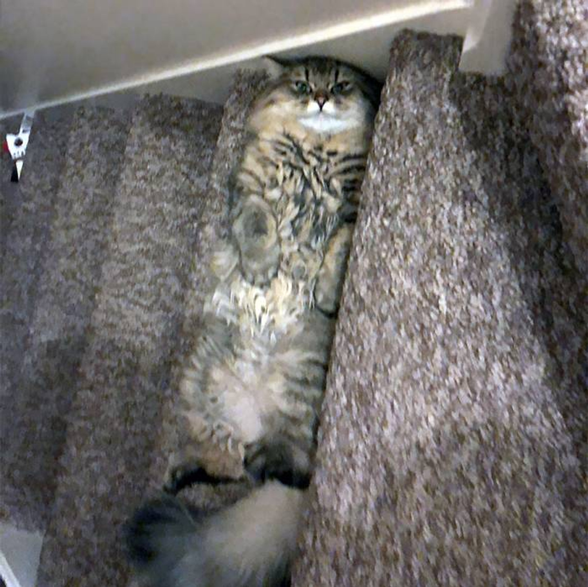 Фото © Reddit / ST86X